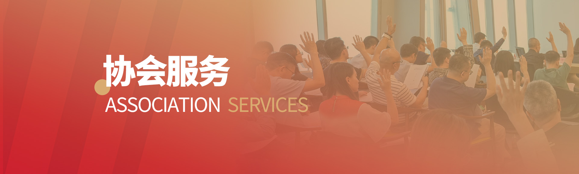 协会<span>服务</span>